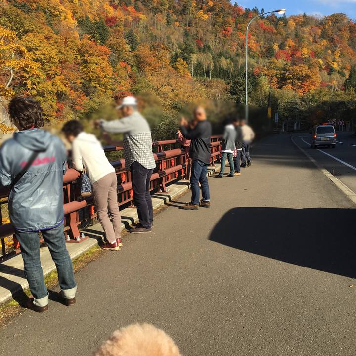 8854c343 4450 4a34 8572 819a255d9b5a