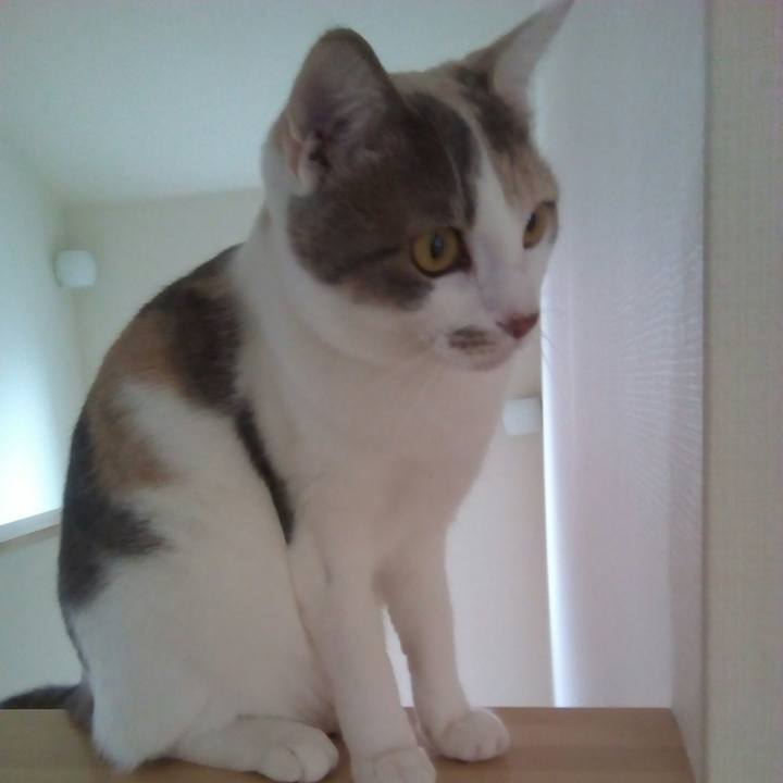 88560ae6 3430 4fca 8361 159c3e305341