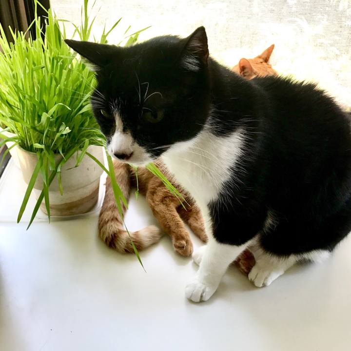 88566917 4c8f 488a 80a8 4a2ce5b71edd