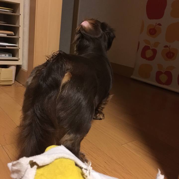 88576e96 1002 4dff 9fb4 7025797fc45a