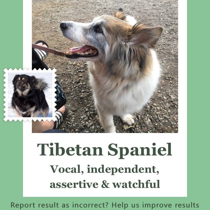 8857da78 14e8 43cd a1fd a22fe5134a64