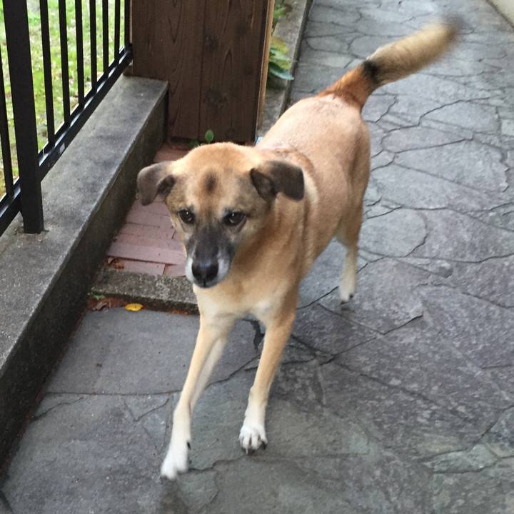 8857f0e8 be5b 4f1c 96bf 68501606f374