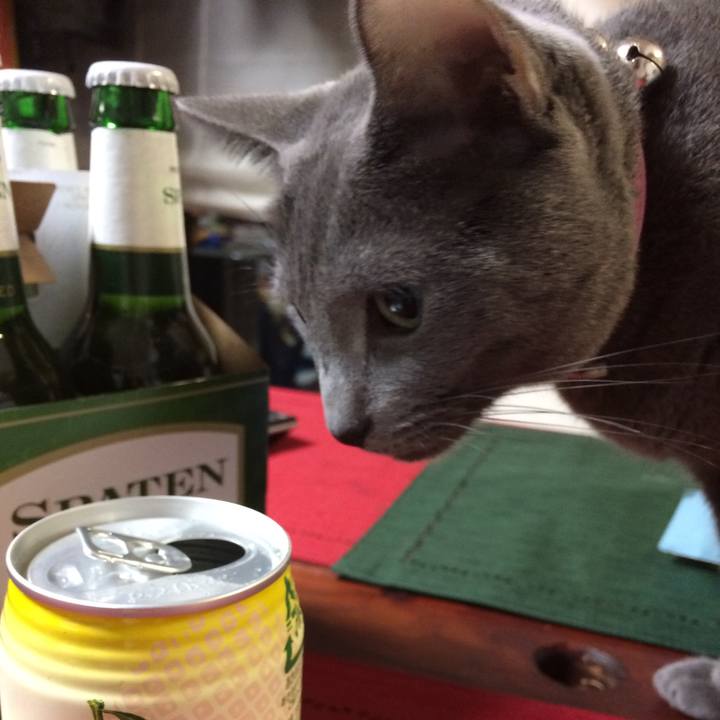 885885cf 757a 4cd7 86a4 6366be942244