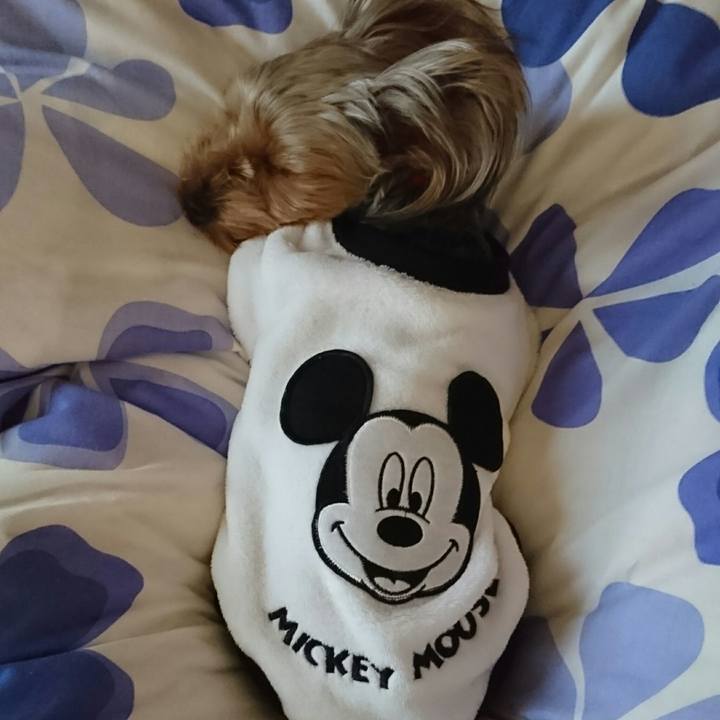 8858e9a9 eb17 4f00 ab52 3e5d4abd5a85