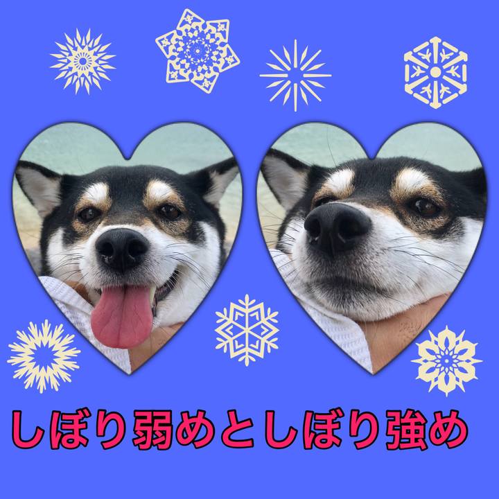 88594dfb 8c93 454c 9bc8 881aaaaa88a1