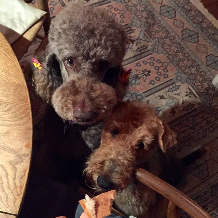 8859a4a7 930a 4dbb 894b aa29fd8ad820