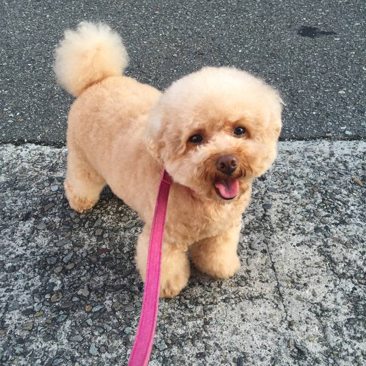 885a03a0 7658 479d 8075 84600c1b5ac5