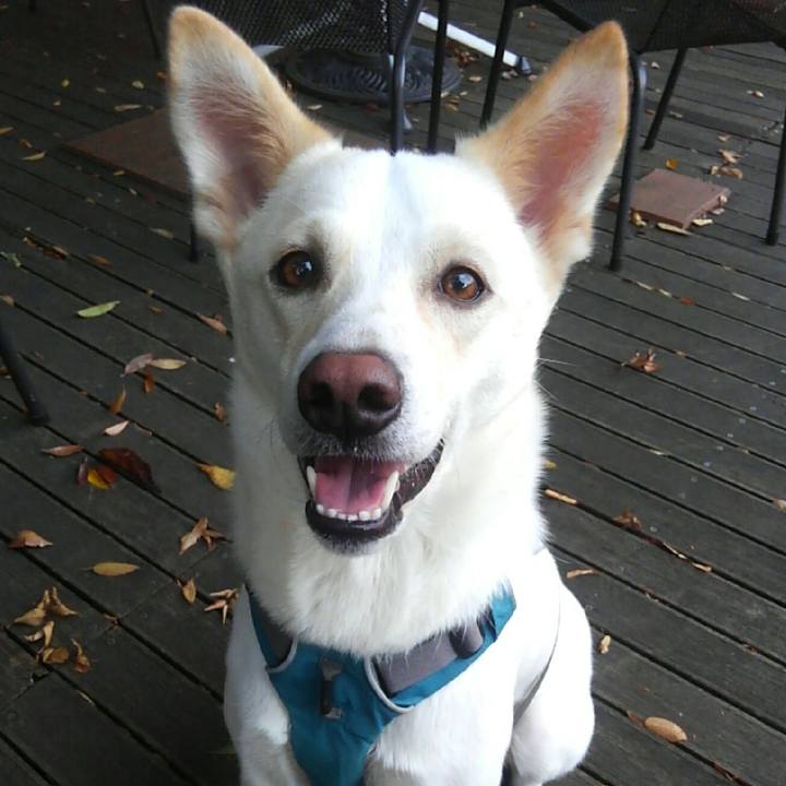 885af0f9 ba65 43bd a2a4 2bb6685eb374