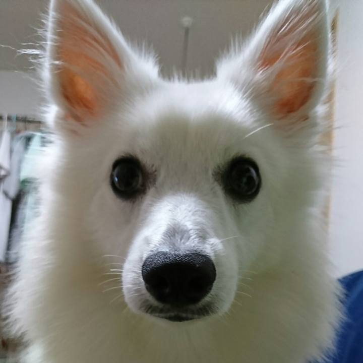 885b0570 b5f7 455c a866 eaed2658fa78