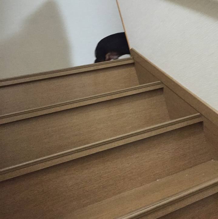 885c19bd 9ee2 485f 8d86 a58298acea81