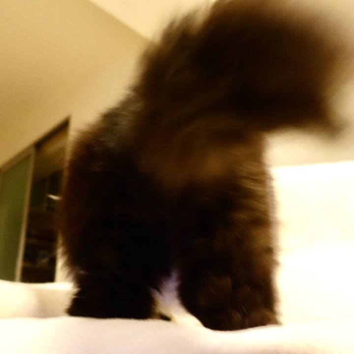 885c51f4 59cd 4967 82b3 247b518e0dd0