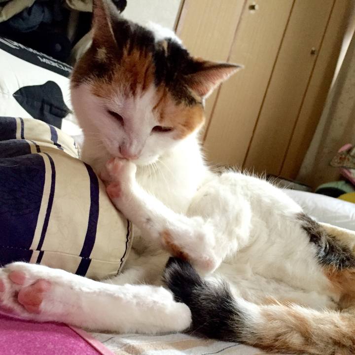 885c6191 6344 4e6f 8c87 34e09ed1e24b