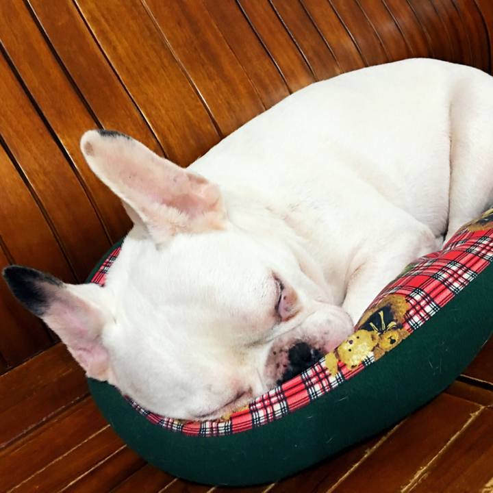 885cf828 4918 4686 88d8 e35669a1fc22