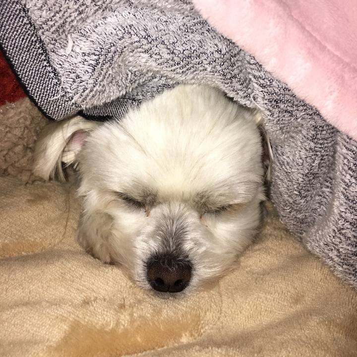 885d3afa b91a 42ee b5b5 5d61d0e19dc5