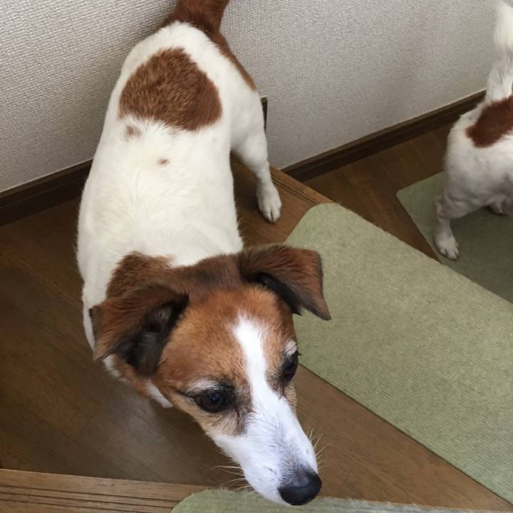 885d505a 376a 4748 bd35 dbb1ad084f35