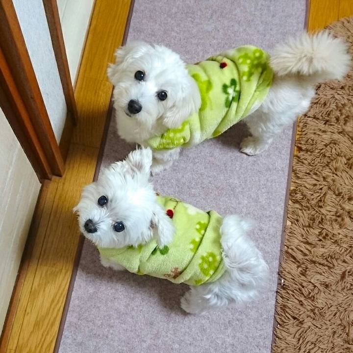 885dfe67 f67a 4adf 9384 39370dec0daf