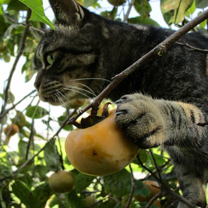 885e31c0 9e64 4d6e a328 5ea356d9ff53