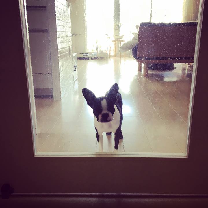 885e7e80 9767 47b6 91f3 a5b77bed4ea2