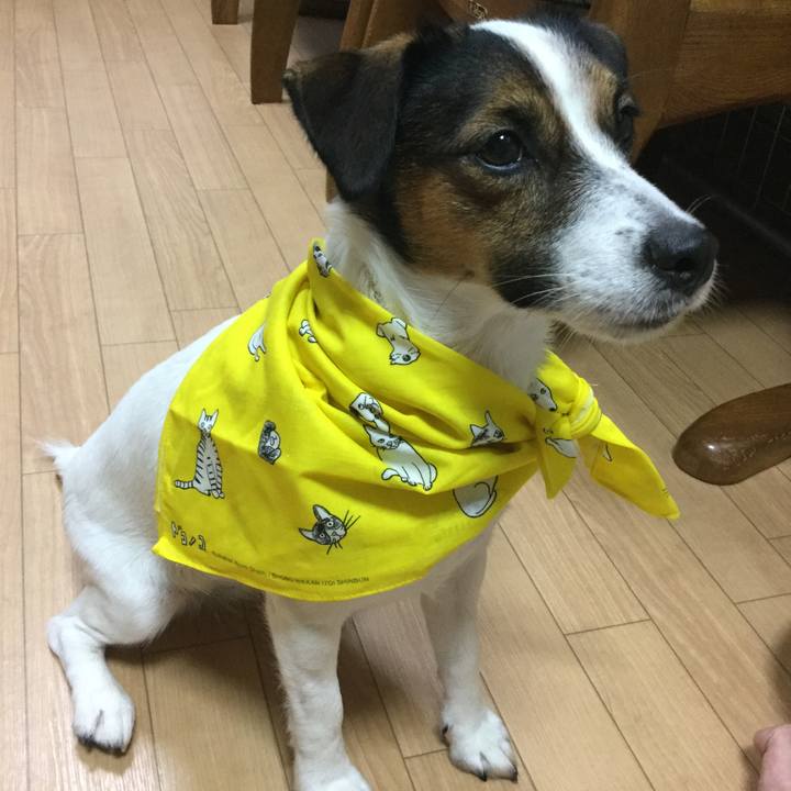 885e835c 2dca 4fed 9497 e8815c4dda9d