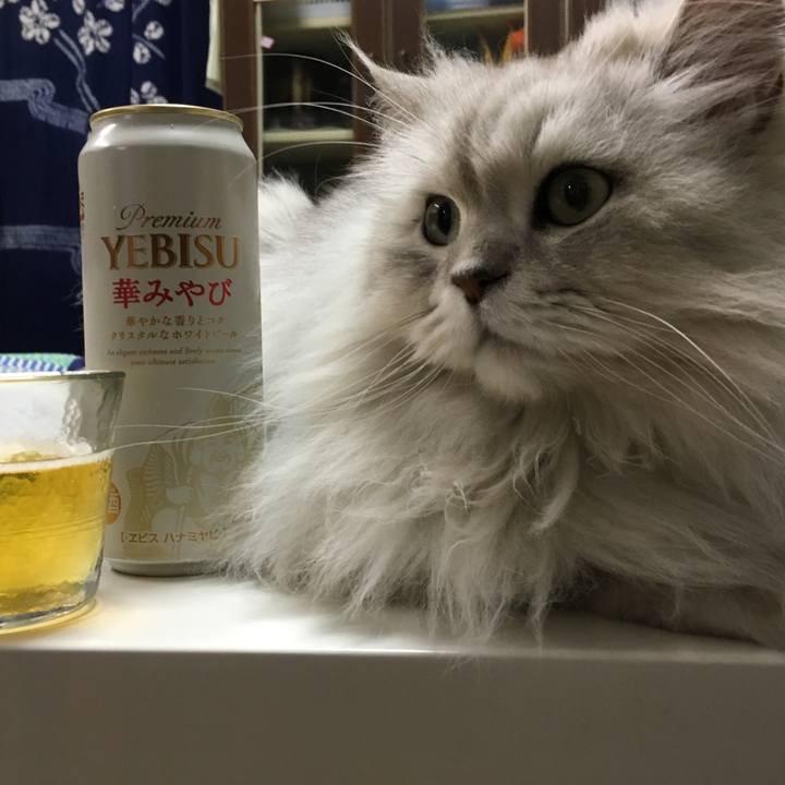 885e8941 bd9d 4787 8997 462a05933494