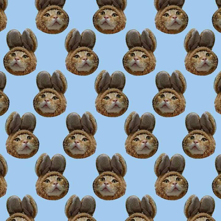 885ede76 77d5 4183 a7c0 20bab0da73d0