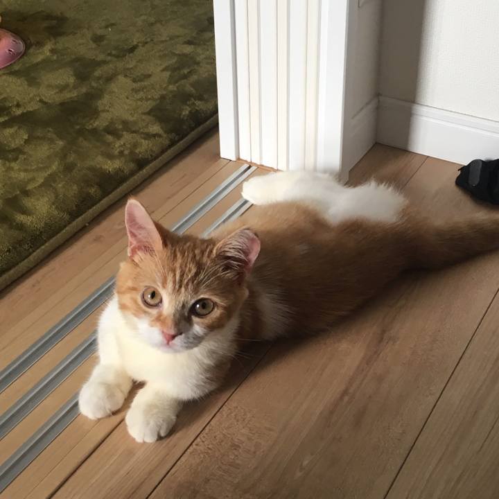 885f9355 d1d6 4a7a 9518 5bbda7f5e59a