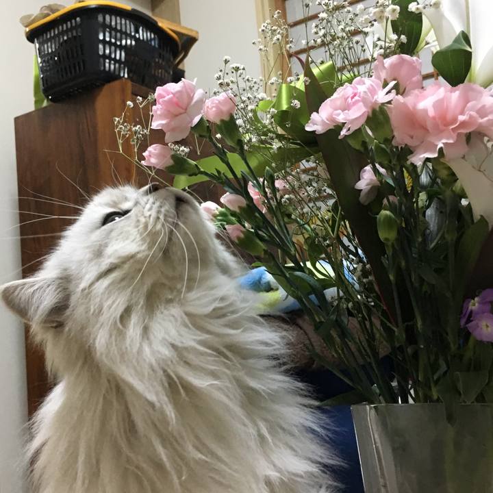 8860af06 9af7 43cf b1fe 8cc4794cf610