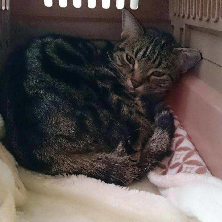 88610d45 04ad 4aaa bff2 94bb4c4a1ece