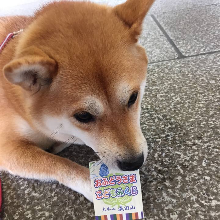 88615442 27fc 4edc a6a2 071ab196c20a