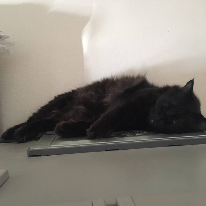 88616ed2 9fef 4c02 8488 9b05dade3d9c