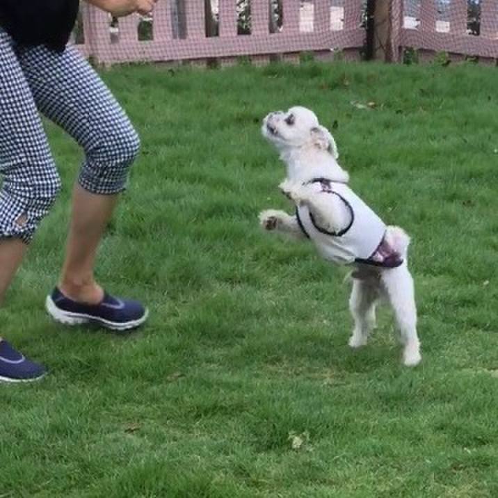 8861b2c3 a50a 48e9 b3d4 32adc846e5e0