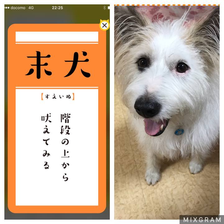 8861fe95 b043 4b49 a29a 0f880c05c482