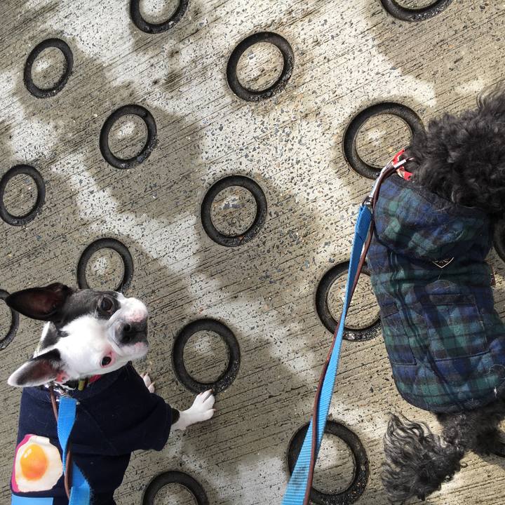 88635a84 a01c 4c56 bab2 0628ca0562e8