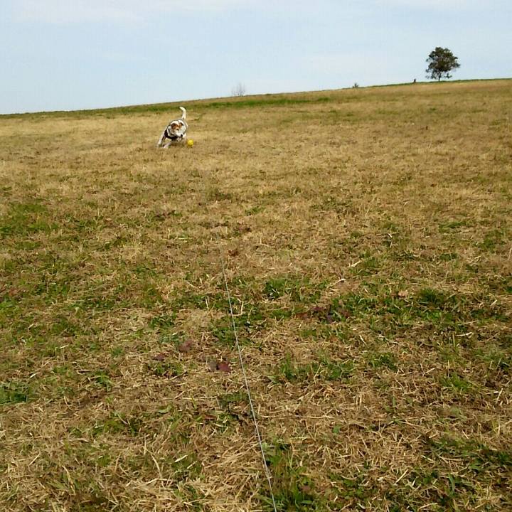 88637a85 e98c 427d 9aed b6461369652d