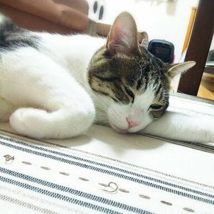 88637dc5 92e6 42a7 b8f9 9e1a590c0056