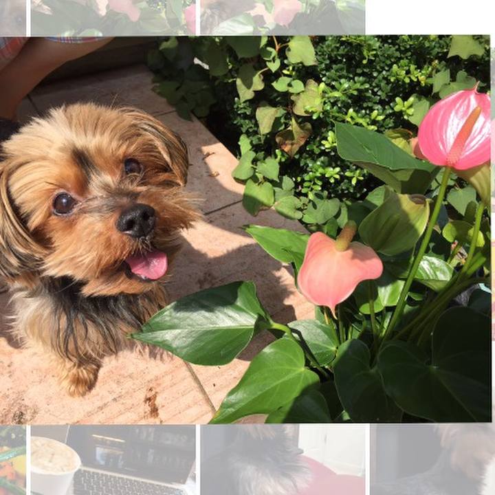 886394a0 87da 4533 a176 7a45c9905432