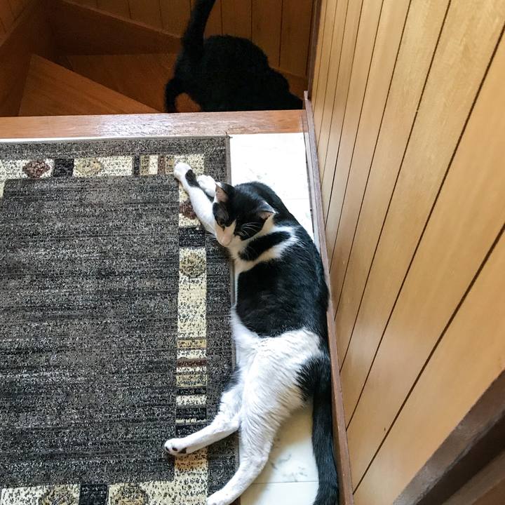 88639afb 325d 4f5a 8950 d843d7bc07b4