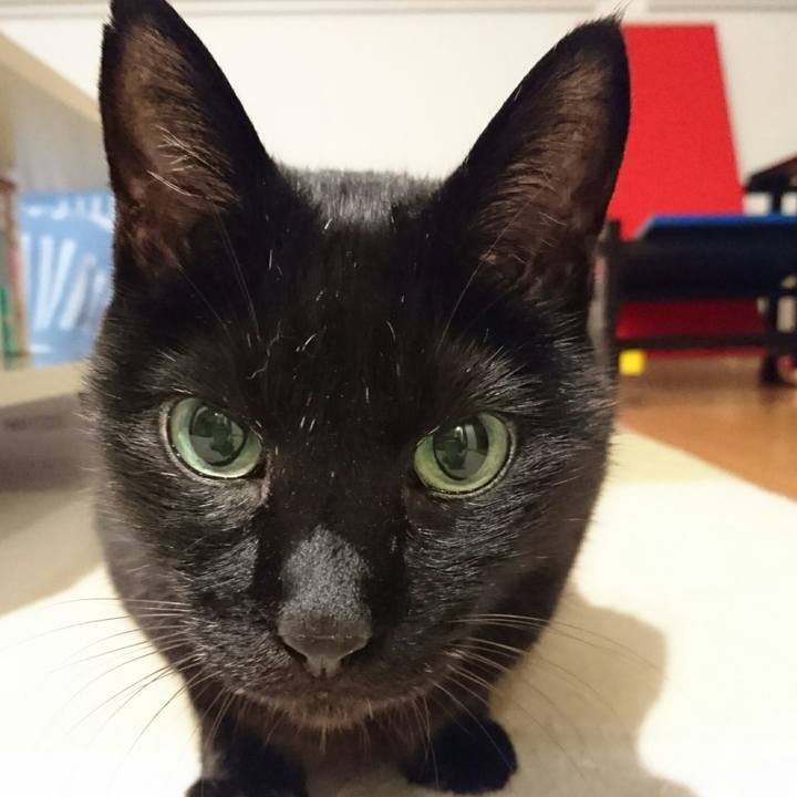 8863a634 3047 4f4e b147 323d55e72460