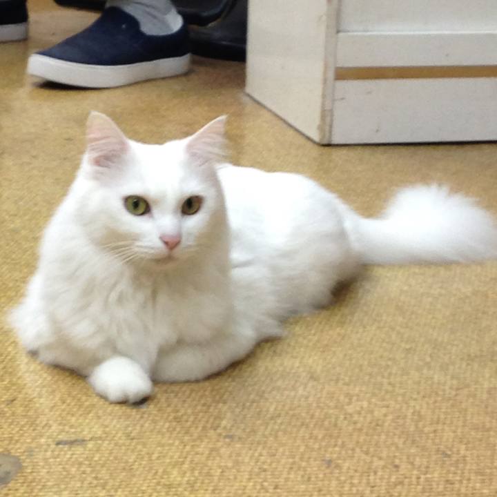 886453c9 6dac 4e84 a8e9 5127aae8abc3