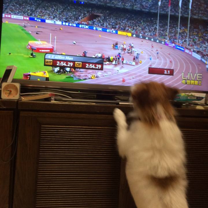 886480b6 ebf3 4cd5 9eb6 f49dba5c8503