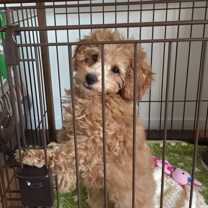 88658c29 fd1d 44de 9553 854b062c28f0