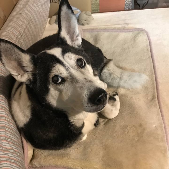 8866165e cf80 431a a5cc e9b06ab4a4c0