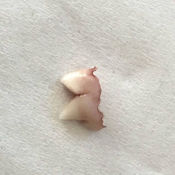 886628b1 a029 4e59 abeb 32afd96b00e0