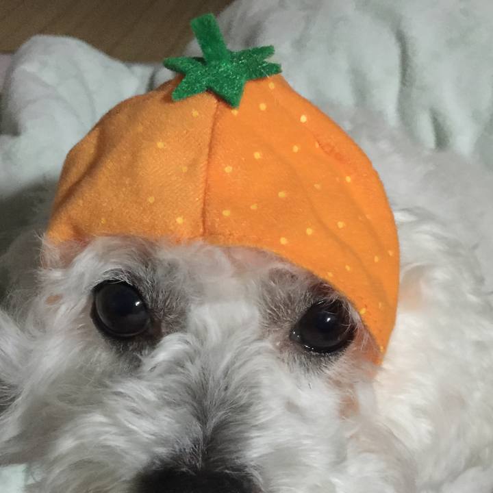 88664892 b848 4fa0 bb21 90d6035dbd7a