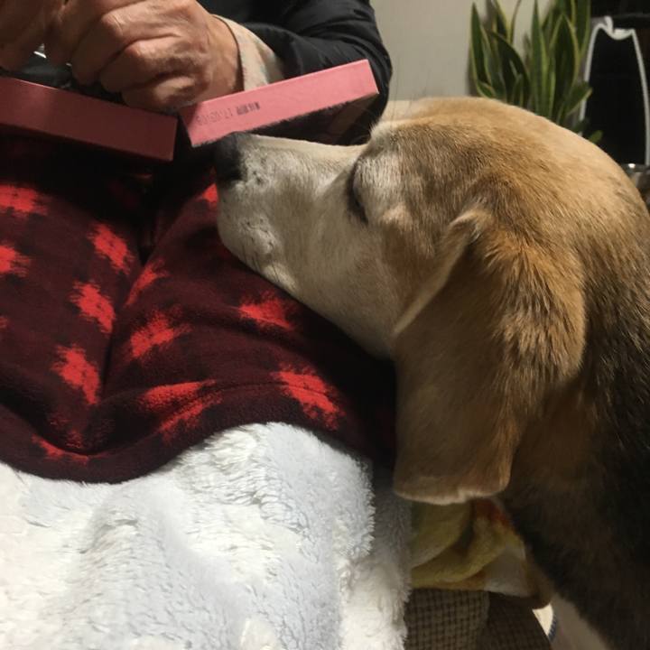 88665e8a a1f8 43a5 8096 e531eb89dc5f