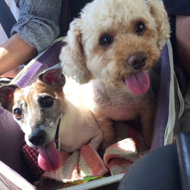 886690b1 c6d4 4132 879f 36c9cc03523b