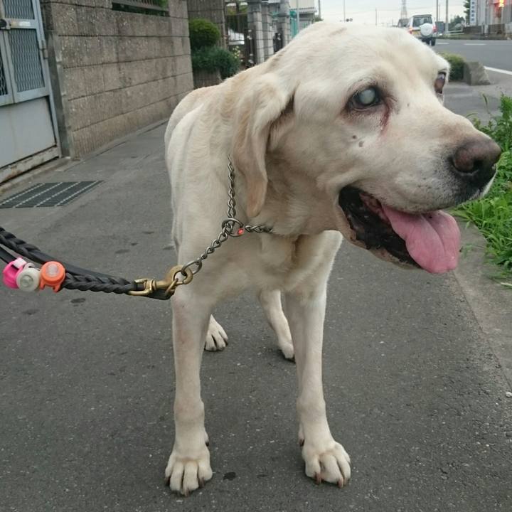 8866aa80 a76e 4b4c a994 2b13120053ec