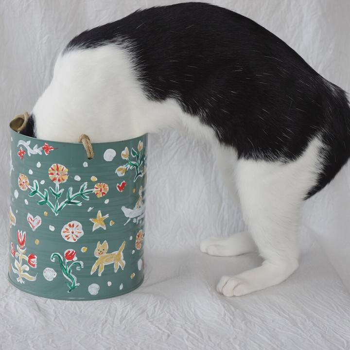 88674ce4 70d7 45ac b695 c260aeef301d