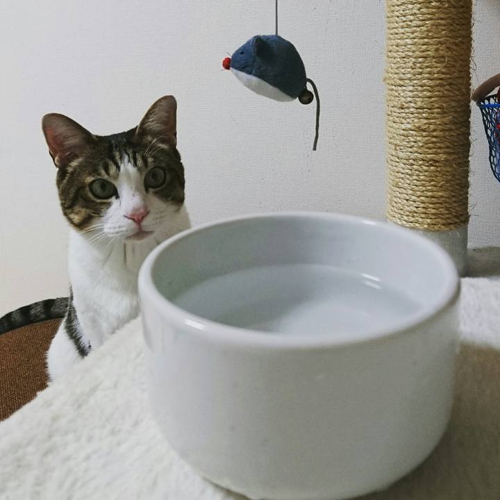 8867d7aa c13d 4bf5 8f06 81c99c41ca73