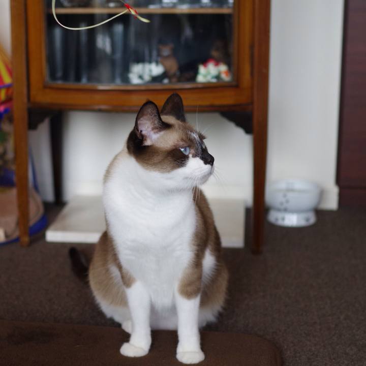 886823e9 c6b0 453a b682 d9dfbd521e6c